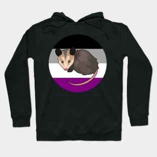 Pride Possum (Asexual) Hoodie